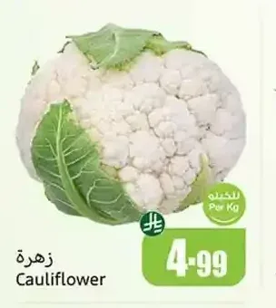 زهرة