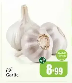 ثوم