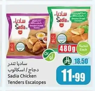 ساديا تندر دجاج / اسكالوب 480 جم