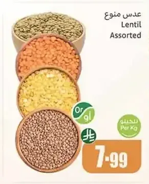 عدس منوع