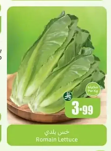 خس بلدي