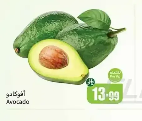 أفوكادو