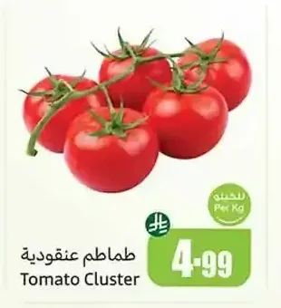 طماطم عنقودية
