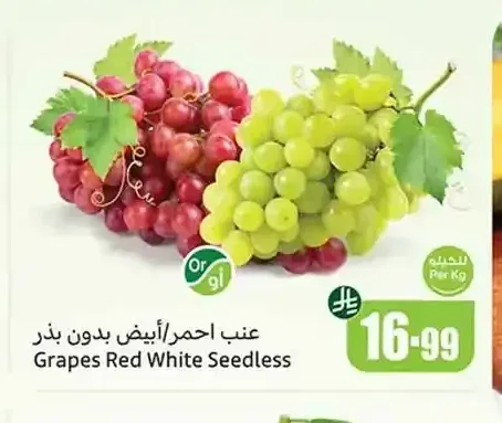 عنب أحمر/أبيض بدون بذر