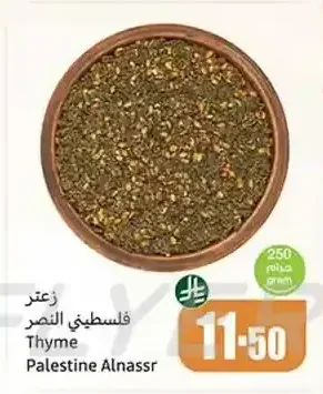 زعتر فلسطيني النصر