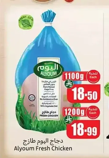 دجاج اليوم طازج 1200 جم