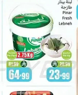 لبنة بينار طازجة