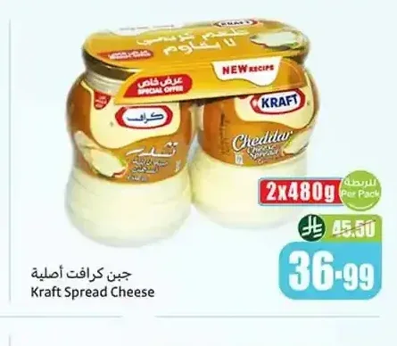 جبن كرافت سبريد 2 × 480 جم
