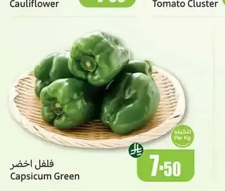 فلفل أخضر