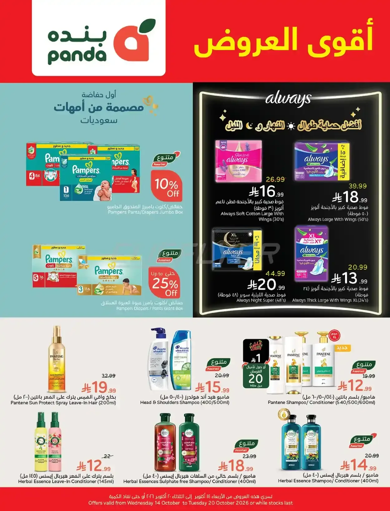 صفحة 1