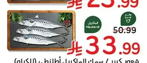 سمك الماكريل (للكيلو)