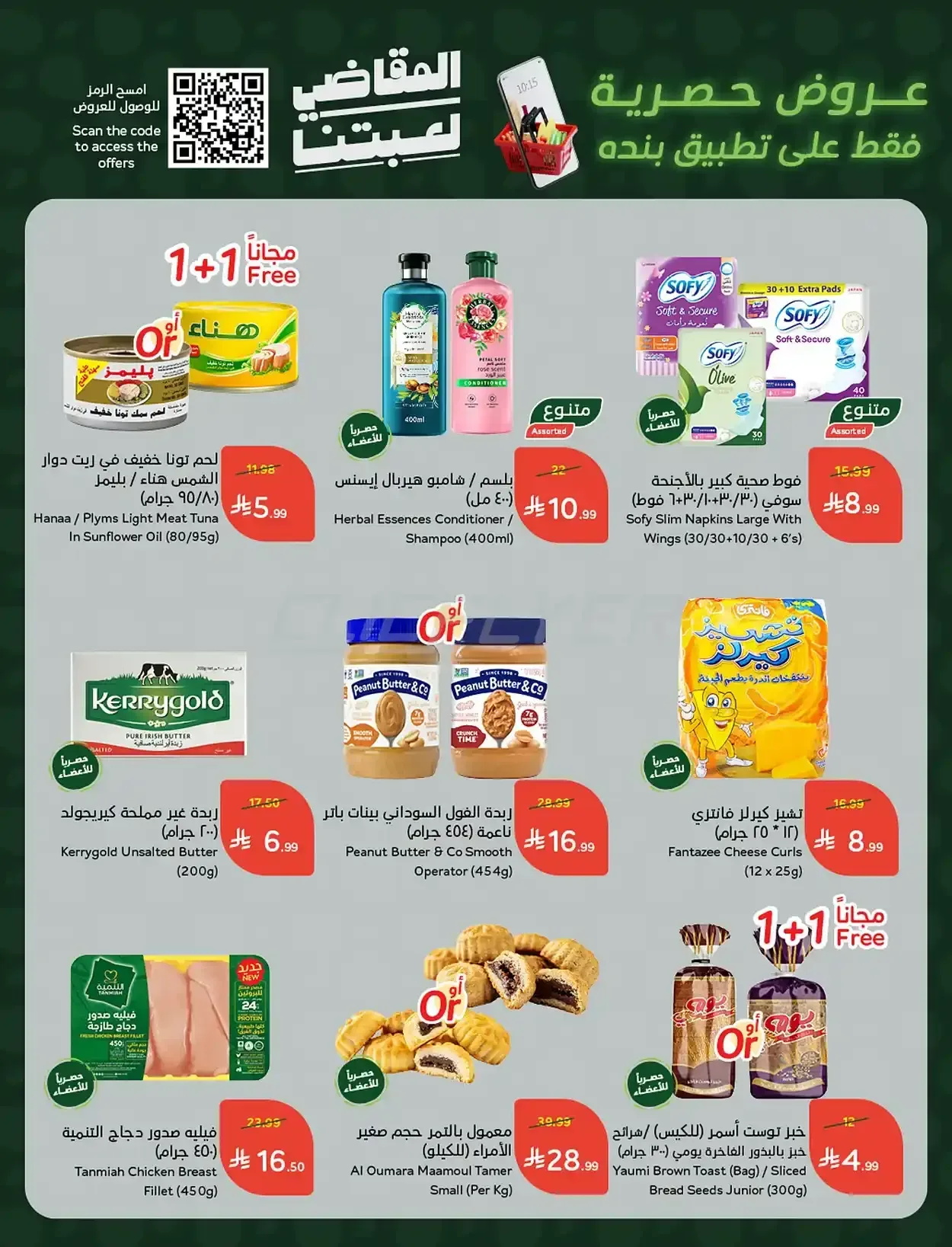 صفحة 1