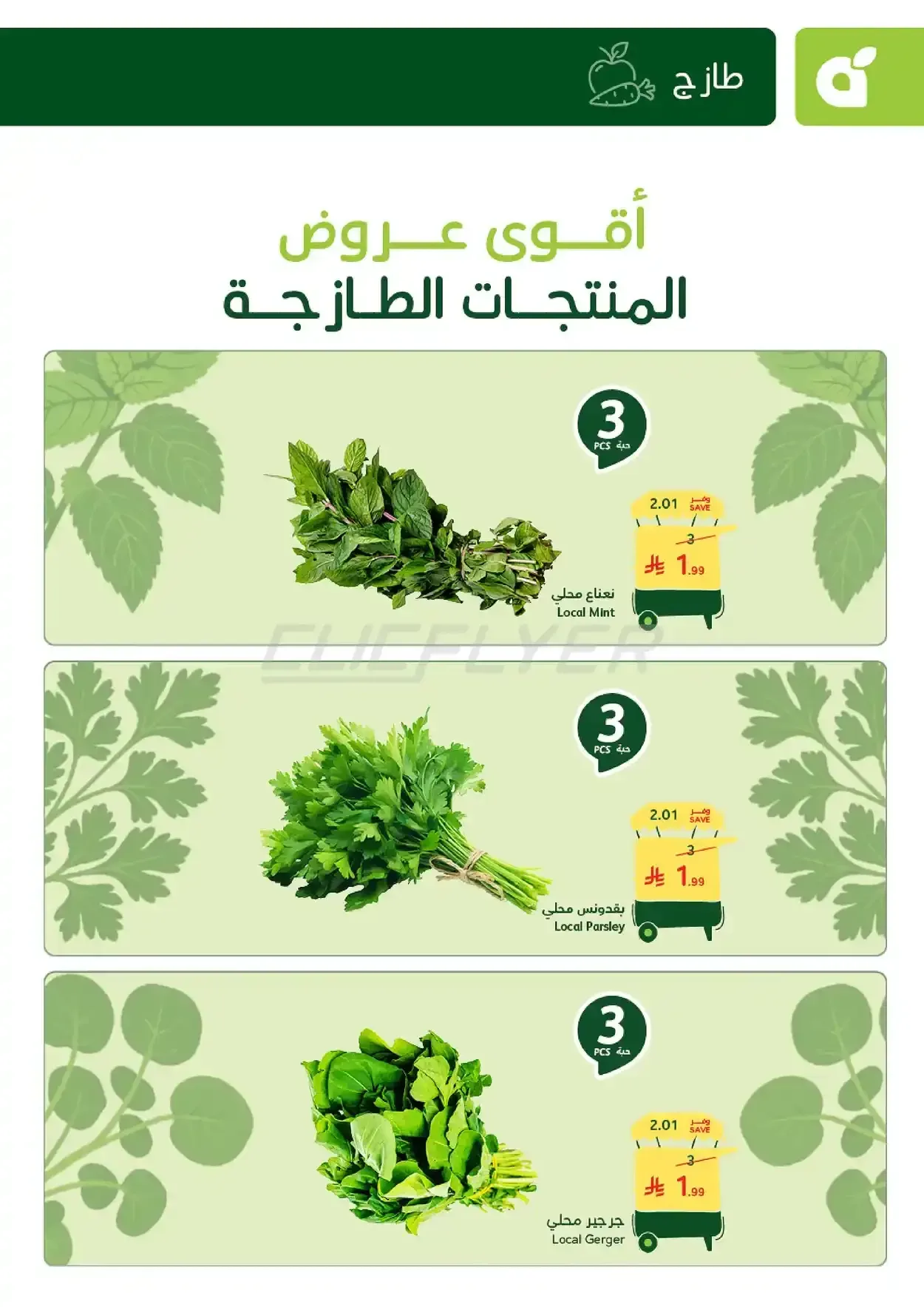 صفحة 2