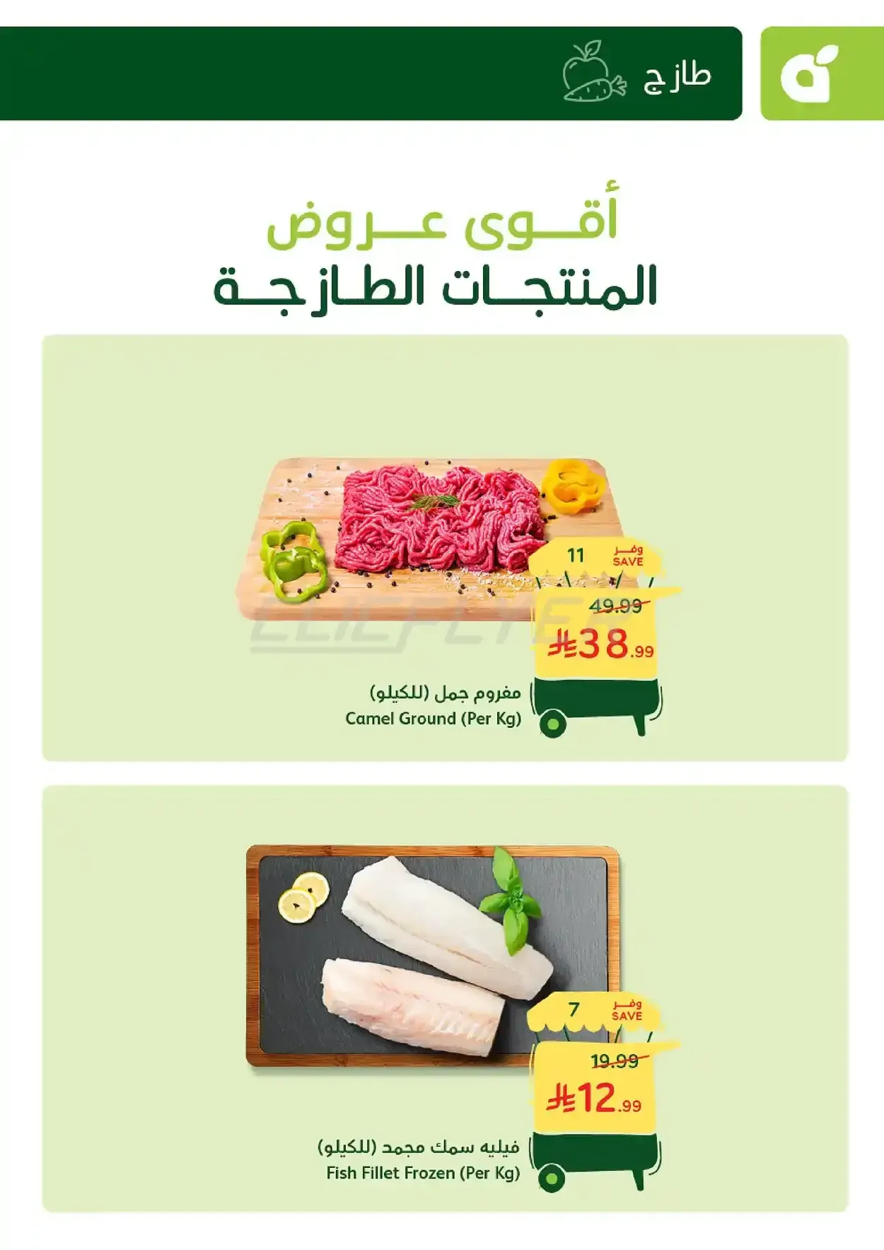 صفحة 4