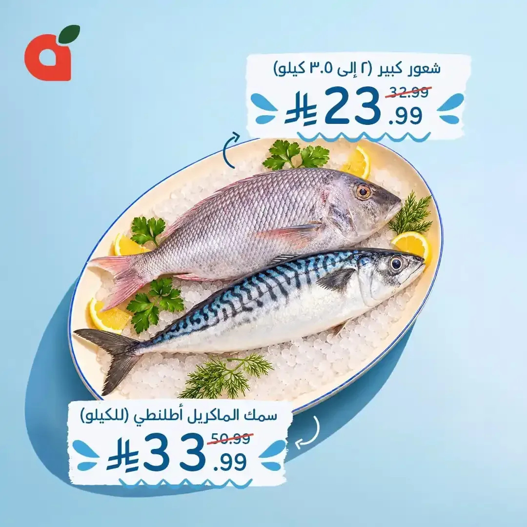 صفحة 2