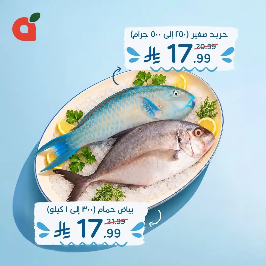 صفحة 6
