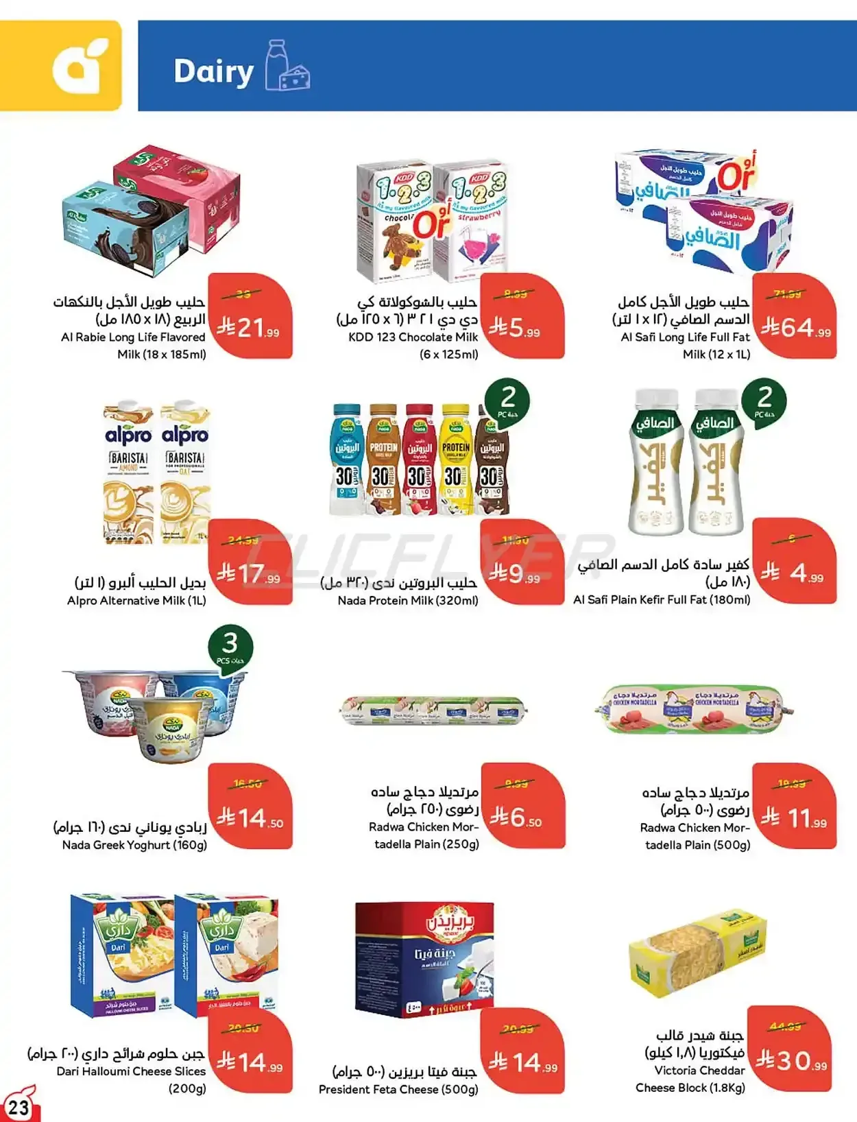 صفحة 24