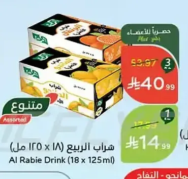 شراب الربيع 18 × 125 مل