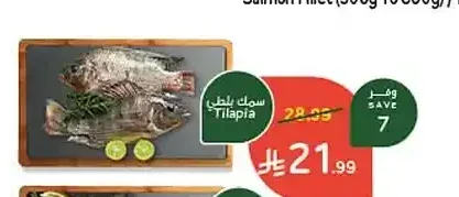 سمك بلطي (300 جم - 600 جم)