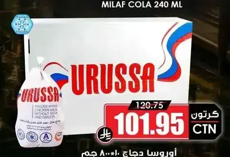 اوروسا دجاج 10 × 800 جم