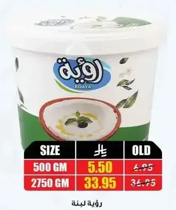 لبنة رؤية 500 جم