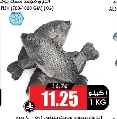 الذوق مجمد سمك بلطي (500-800 جم)