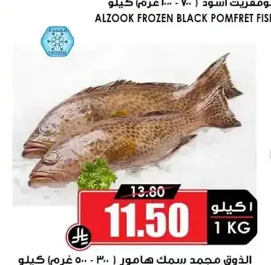 الذوق مجمد سمك هامور (300-500 جم)
