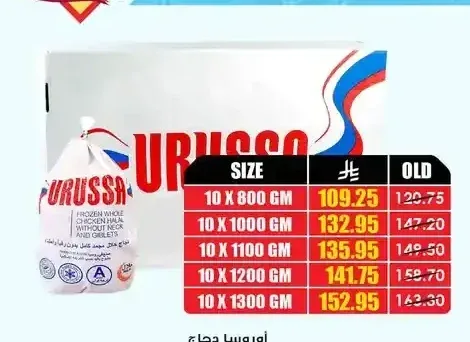 دجاج أوروسا 10 × 800 جم