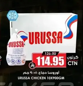 أوروسا دجاج 10 × 900 جم