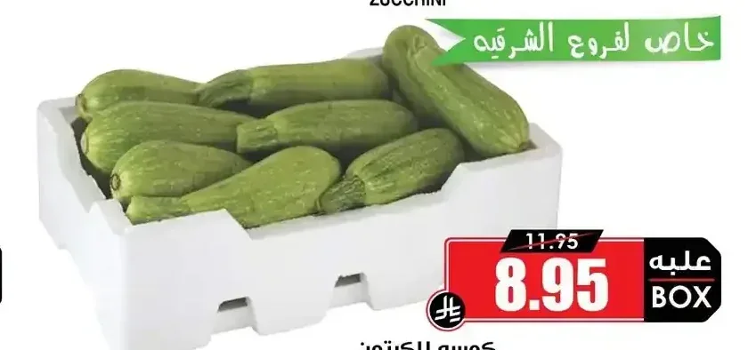 كوسه للكرتون