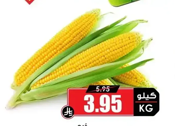 ذرة