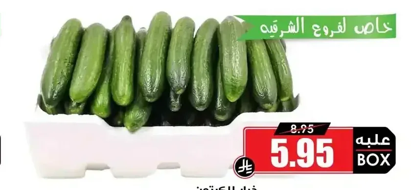 خيار للكرتون