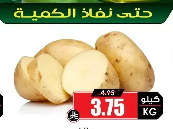 بطاطس
