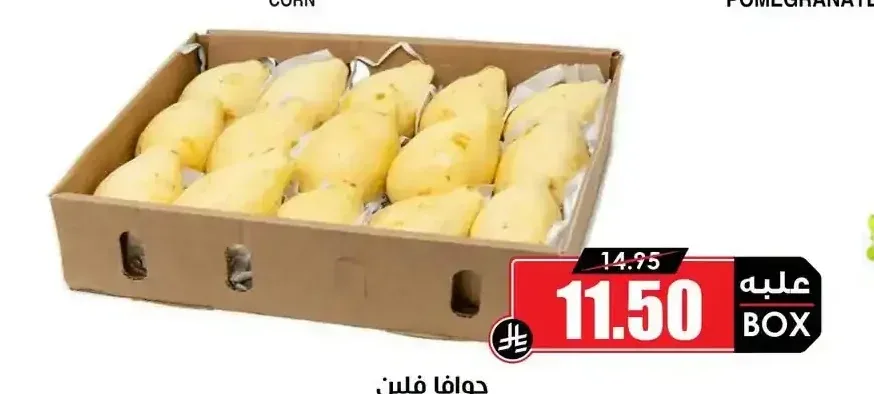 جوافة فلين