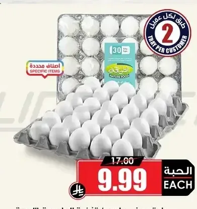 طبق بيض عادي / تغذية الطبيعة 30 حبة