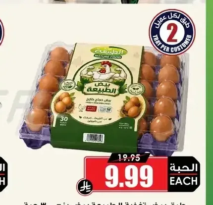 طبق بيض تغذية الطبيعة بيض بني 30 حبة
