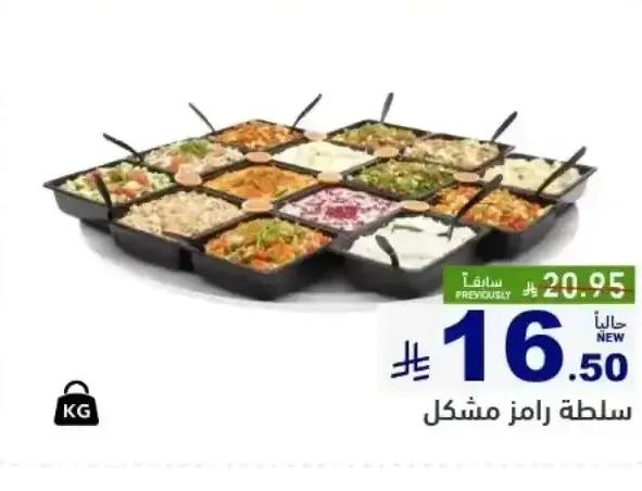 سلطة رامز مشكل