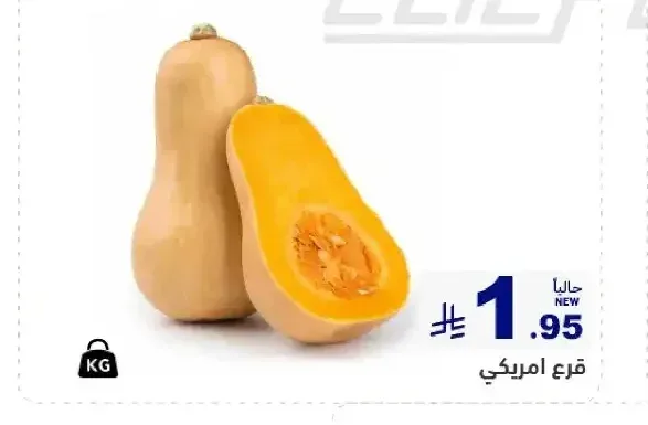 قرع امريكي