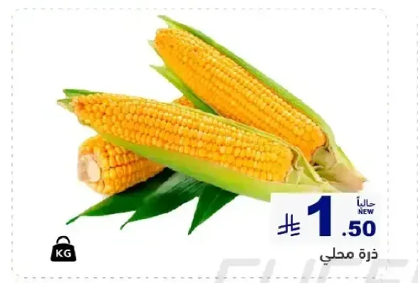 ذرة محلي