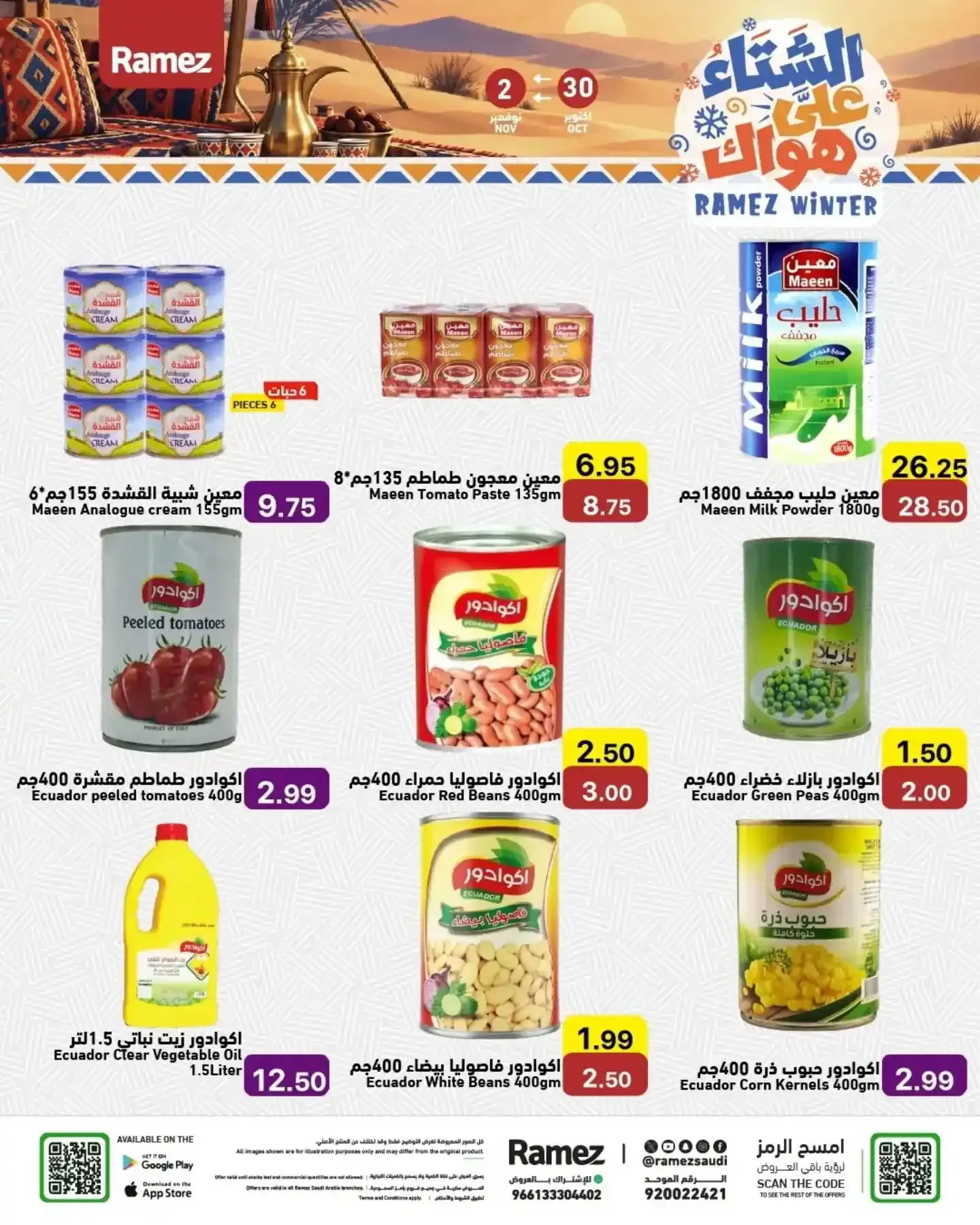 صفحة 17