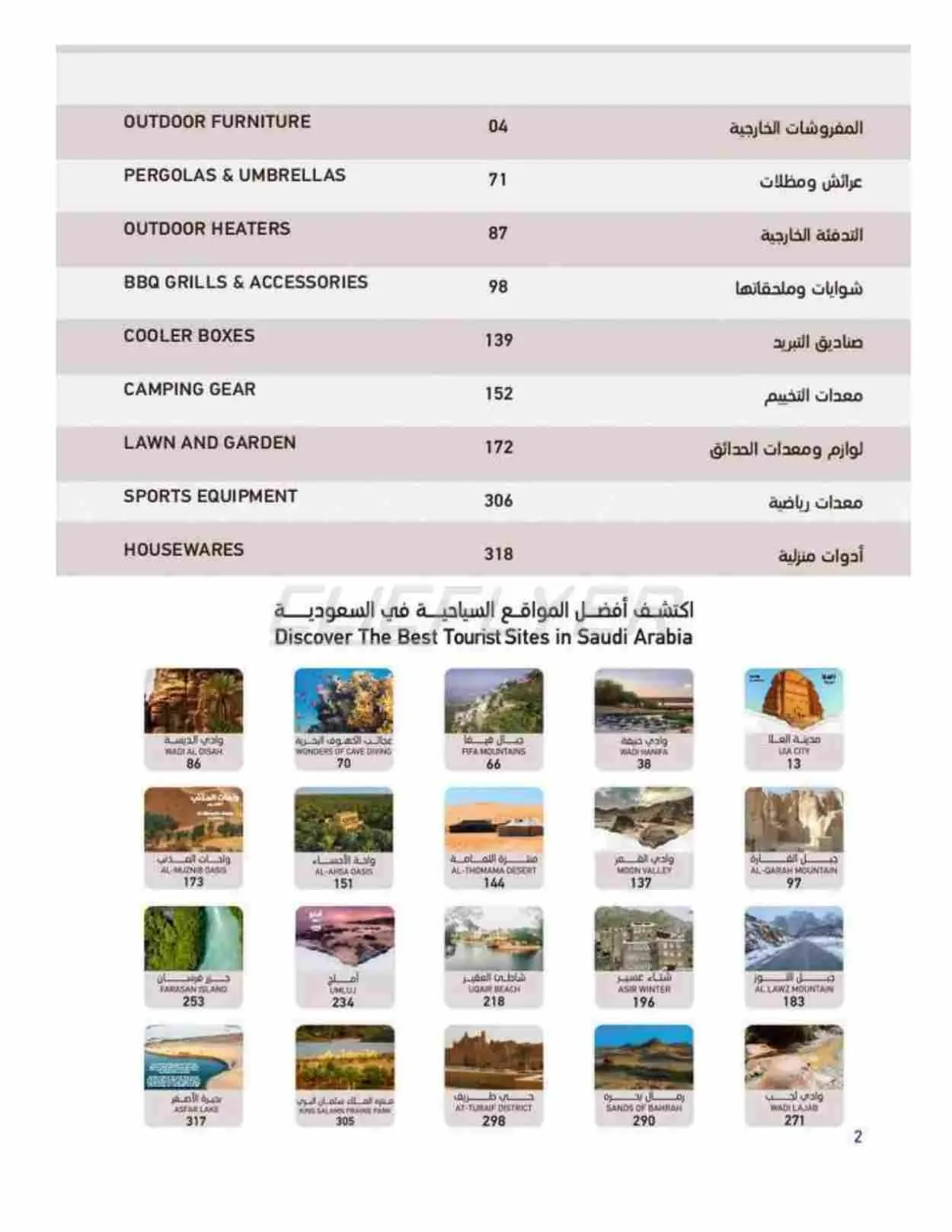 صفحة 2