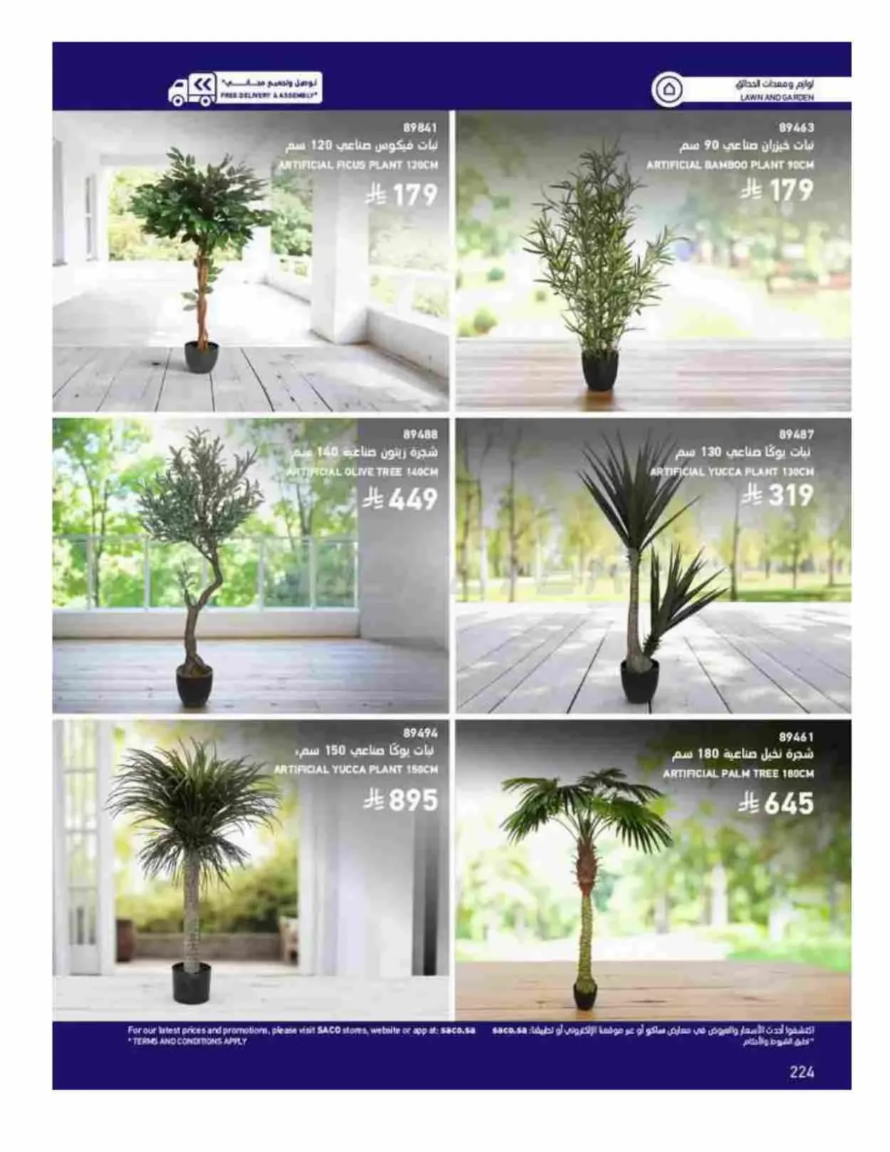صفحة 224