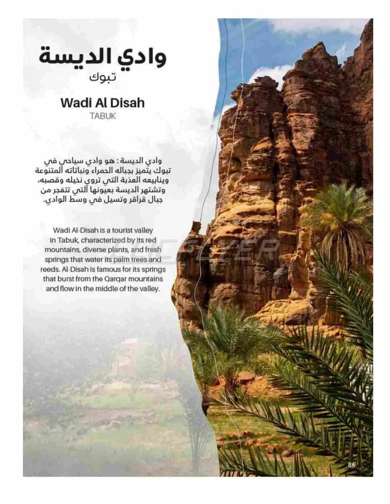 صفحة 86