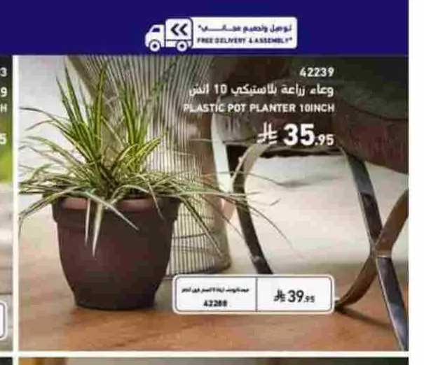 وعاء زراعة بلاستيكي 10 انش بلوم