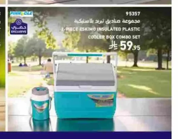 مجموعة صناديق تبريد بلاستيكية 2 قطعة