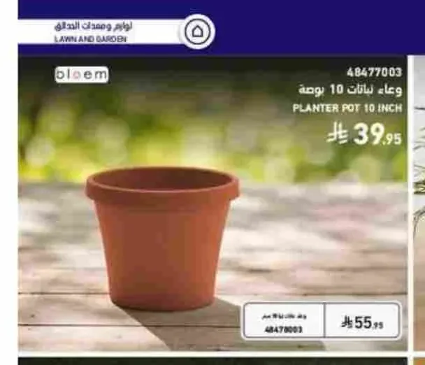 وعاء نباتات 10 بوصة بلوم