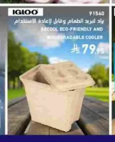 براد تبريد الطعام قابل لإعادة الاستخدام