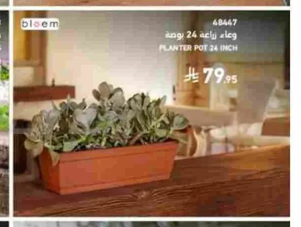 وعاء زراعة 24 بوصة بلوم