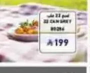 حقيبة حافظة للبرودة 22 علبة