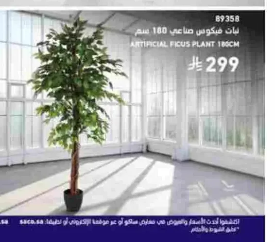 نبات فيكوس صناعي 180 سم